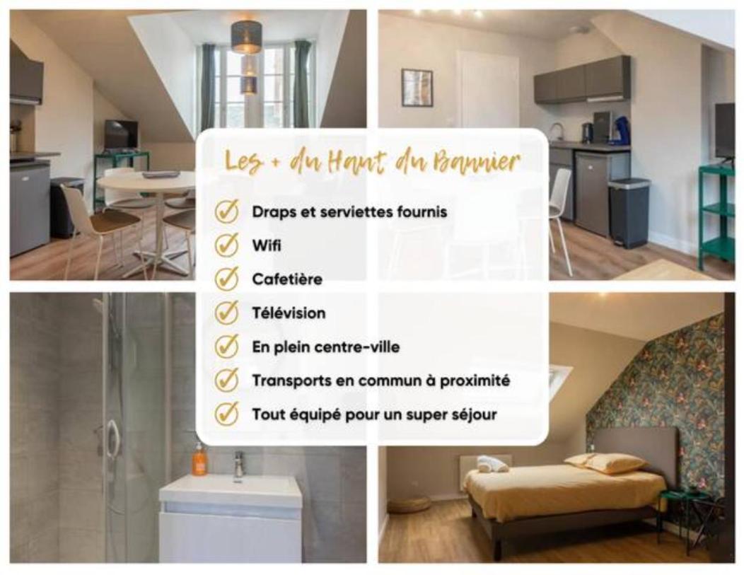 Апартаменты Le Haut Du Bannier * T2 * Hyper Centre * Wifi * Орлеан Экстерьер фото